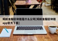 蚂蚁金服区块链是什么公司[蚂蚁金服区块链app官方下载]